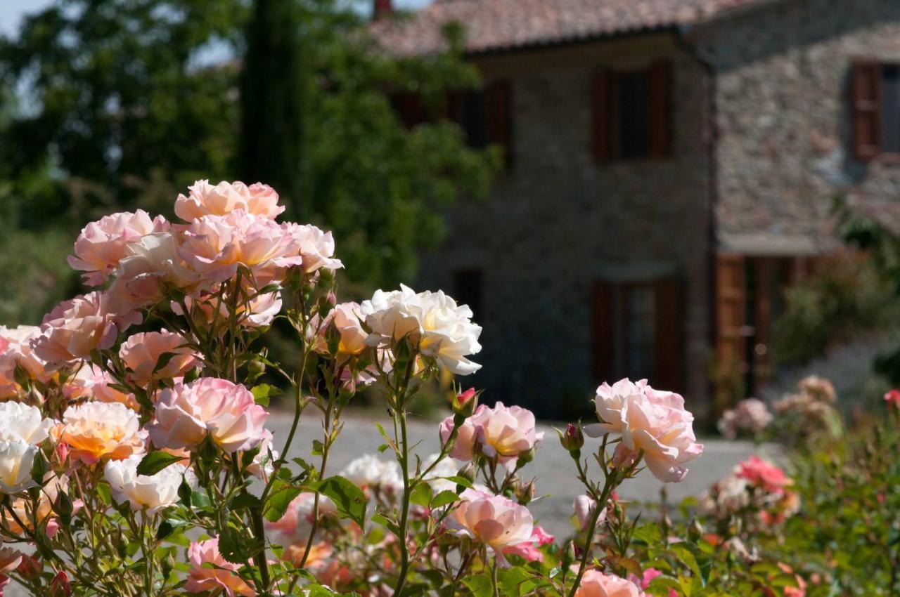 Agriturismo Le Valli Casciana Terme Εξωτερικό φωτογραφία